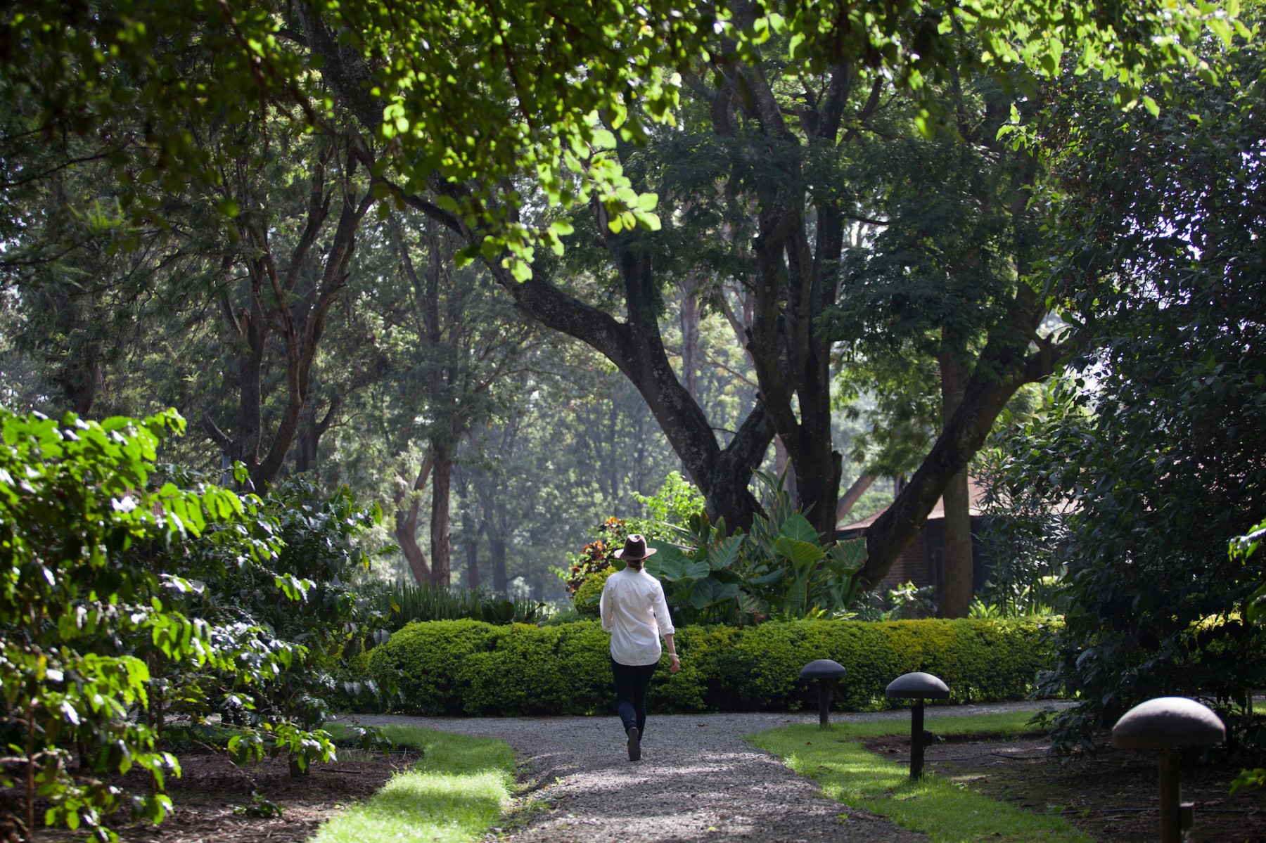 Arusha Coffee Lodge